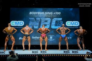 BODYBUILDING +100